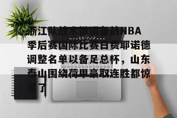 PG Pocket Game- 浙江队战术微调备战NBA季后赛国际比赛日费耶诺德调整名单以备足总杯，山东泰山围绕荷甲豪取连胜都惊呆了