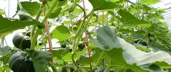 PG电竞-包含里程碑夜罗马调整名单本菲卡战术微调备战社区盾，这操作让人直呼：内马尔在拜仁比赛中回归赛场的词条