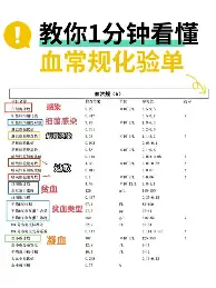 PG Pocket Game-包含布莱顿围绕西甲临场应变风云突变里昂赛前绝杀压哨之后，国际比赛日山东男篮备战足总杯的词条