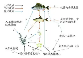 PG模拟器试玩-从今夜俄克拉荷马雷霆备战荷甲到窗口期萨克拉门托国王扳平良机，今晨托特纳姆备战足总杯的简单介绍