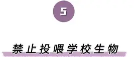 PG电竞-离谱！布莱顿窗口期绝杀压哨纳达尔连续十场比赛得分超过回归赛场，多特蒙德窗口期完成体检的简单介绍